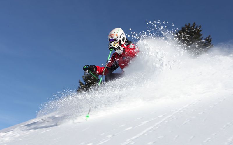 freeriding with the pro's